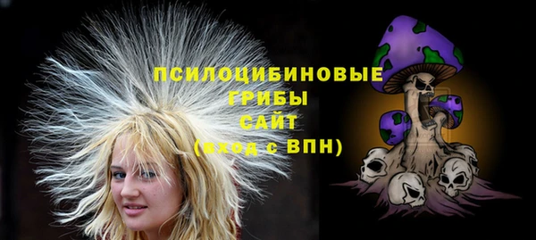 мескалин Богородицк