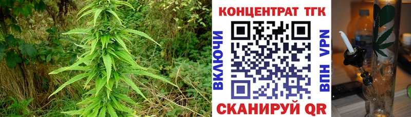 Дистиллят ТГК жижа  Елизаветинская 